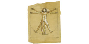 L'homme de Vitruve d'après de Vinci, illustration de l'article ma tête, mon coeur et mes...